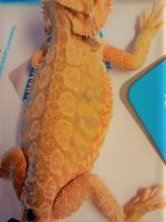 thumbnail_IMG_20161126_160841012.jpg