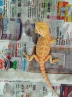 thumbnail_IMG_20161112_153136617.jpg