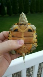 2016061995203913.jpg