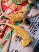 thumbnail_IMG_20161102_184703798.jpg