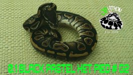 PicsArt_10-11-11.58.47.jpg