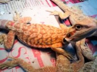 thumbnail_IMG_20161102_184820387.jpg