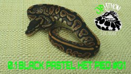 PicsArt_10-11-11.54.22.jpg