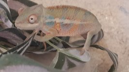 20160818_155711.jpg
