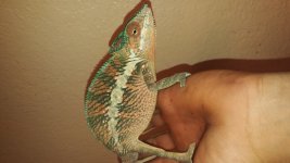 20161125_200535.jpg
