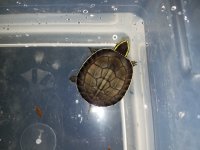 20161003_110524.jpg