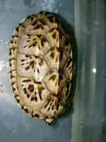 20161003_185733.jpg