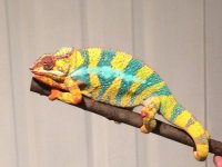 IMG_4618.jpg