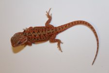 20160910174536.jpg