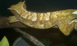 20160925_212642.jpg