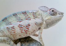 IMG_20161001_155305.jpg
