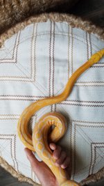 20170309_084633.jpg