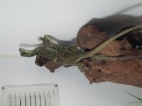20170117_111032.jpg