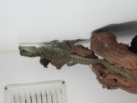 20170117_111130.jpg