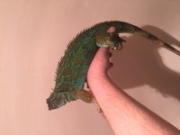IMG_3293.jpg