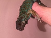 IMG_3294.jpg