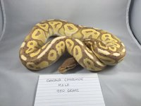 banana cinnamon.jpg