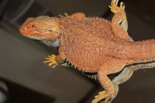 20160529143725.jpg