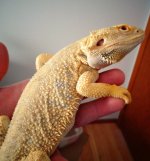 DSC00386.jpg