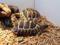 20170223_124423.jpg