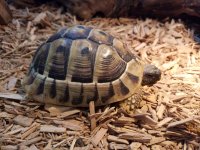 20170223_124434.jpg
