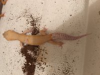 IMG_0512.jpg