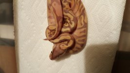 20160824_220903.jpg