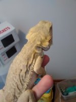 thumbnail_IMG_20161103_172340589.jpg