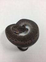 AXANTHIC PIN.jpg