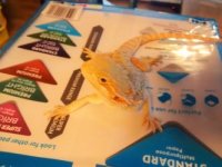 thumbnail_IMG_20161103_171604320.jpg