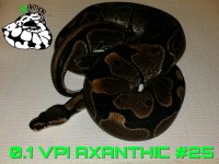 PicsArt_10-11-09.50.35.jpg