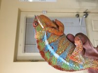 IMG_1236.jpg