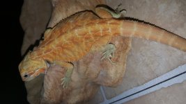 20160912_154111.jpg