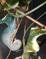 20170306_194239.jpg