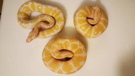 20161011_101258.jpg