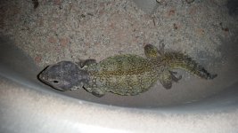 20160912_043550.jpg