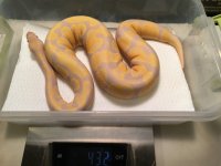 IMG_3821.jpg