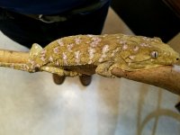 20170222_164257.jpg
