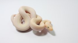 HETxMILK 16-25.jpg