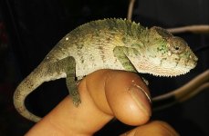 20161002_160236-1.jpg