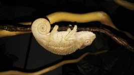 20160927_215518.jpg