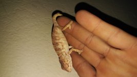 20160927_215816.jpg