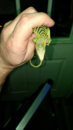 IMG_20170224_224000622.jpg