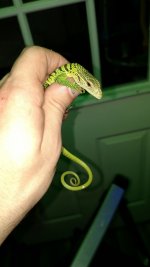 IMG_20170224_223952100.jpg