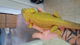 20161002_123746.jpg