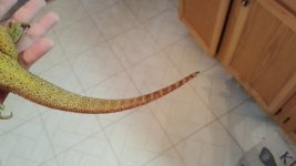 20161002_123903.jpg