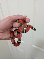IMG_20170225_113429.jpg