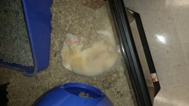 20160625_145949.jpg