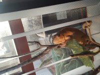 20160903_185117.jpg