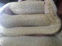 20161207_093651.jpg